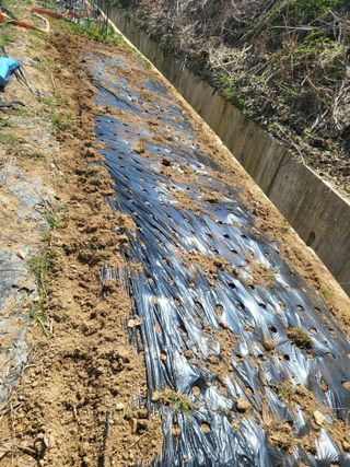 최병우님의 벼 · 영농일지 작성글 사진