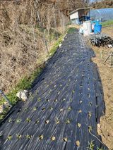 전선경님의 작성글 사진