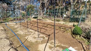 권혁렬님의 상추 · 영농일지 작성글 사진