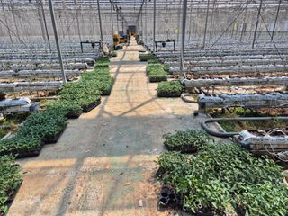 늘햇살팜 님의 기타작물 · 영농일지 작성글 사진