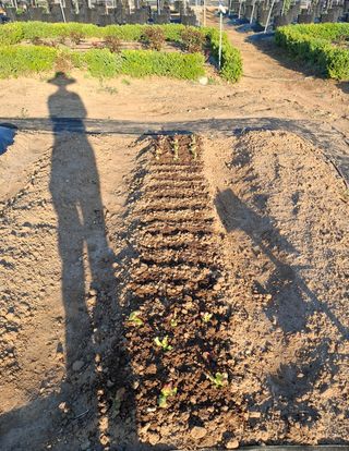 철남 김희곤님의 기타작물 · 영농일지 작성글 사진