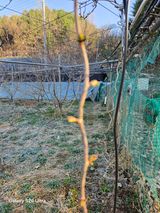 김종협님의 작성글 사진