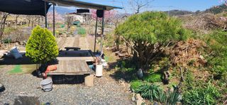 김순섭님의 기타작물 · 영농일지 작성글 사진