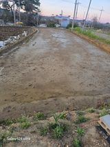 대왕소나무님의 작성글 사진