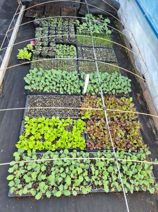 남기탁 님의 기타작물 · 영농일지 작성글 사진