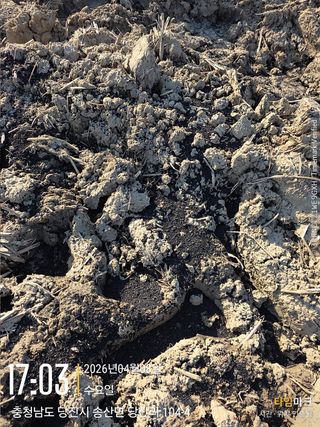 아하론님의 벼 · 영농일지 작성글 사진