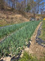 열정님의 작성글 사진