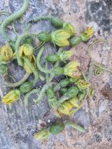 논산푸른팜님의 작성글 사진