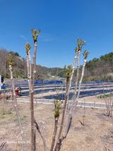 손길준님의 작성글 사진