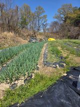 열정님의 작성글 사진