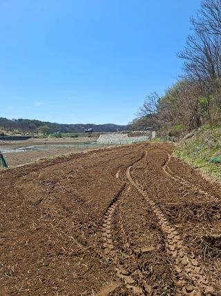 첫출근입니다잘부탁드님의 고추 · 영농일지 작성글 사진