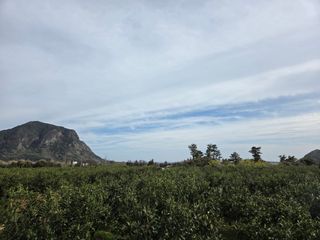 산방자연농원님의 귤 · 영농일지 작성글 사진