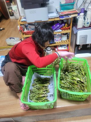 진주 민초피 농원님의 기타작물 · 영농일지 작성글 사진