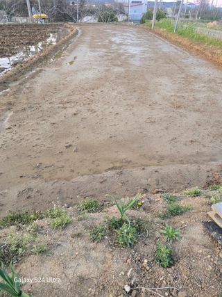 대왕소나무님의 벼 · 영농일지 작성글 사진