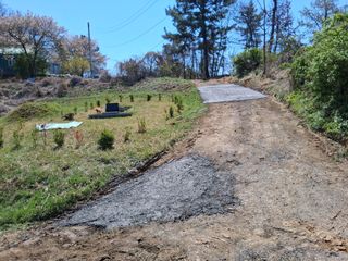 영수농원님의 기타작물 · 영농일지 작성글 사진