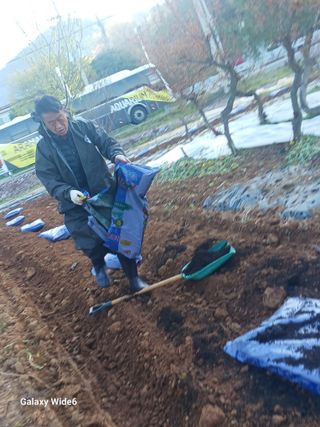 최연태님의 기타작물 · 영농일지 작성글 사진