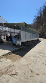 전진원님의 작성글 사진