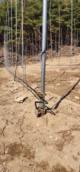 이철님의 작성글 사진