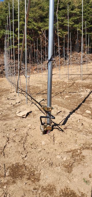 이철님의 기타작물 · 영농일지 작성글 사진