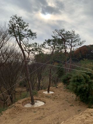 이종승님의 기타작물 · 영농일지 작성글 사진