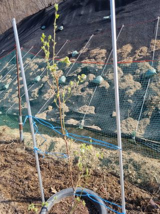 참깨16081님의 기타작물 · 영농일지 작성글 사진