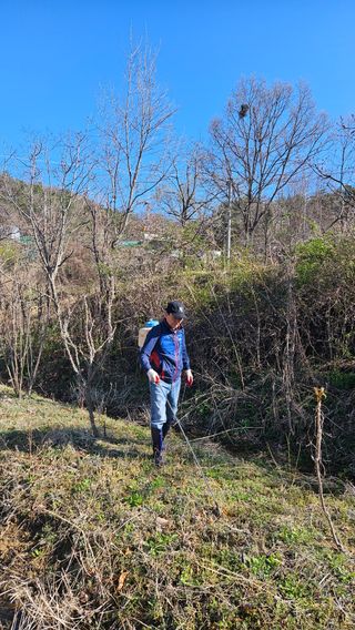 정규환님의 기타작물 · 영농일지 작성글 사진