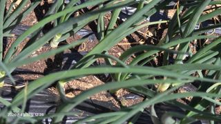 박용열조물주님 님의 기타작물 · 영농일지 작성글 사진