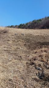 팜모닝 기타작물·영농일지 게시글 이미지