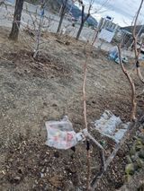 김용대님의 작성글 사진