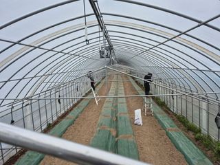 옥수수6509님의 호박 · 영농일지 작성글 사진