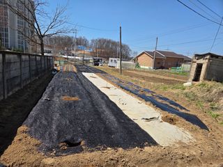 박병철님의 매실 · 영농일지 작성글 사진