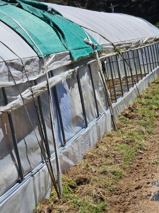 김해열님의 기타작물 · 영농일지 작성글 사진