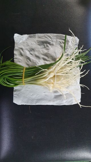 송완춘님의 기타작물 · 영농일지 작성글 사진