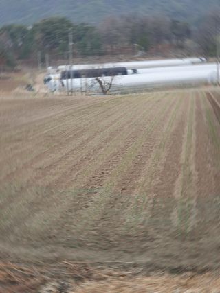 심재룡님의 파 · 영농일지 작성글 사진