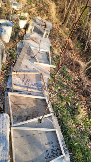 서초농원님의 기타작물 · 영농일지 작성글 사진