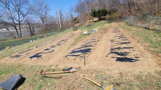 서초농원님의 기타작물 · 영농일지 작성글 사진