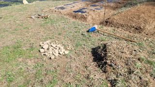 서초농원님의 기타작물 · 영농일지 작성글 사진