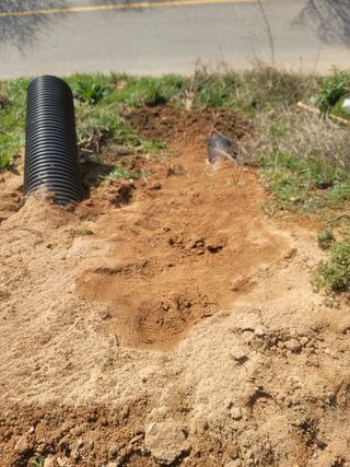 이용찬 열매마농원님의 기타작물 · 영농일지 작성글 사진