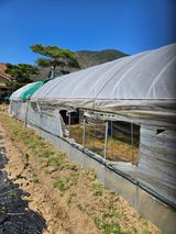 김해열님의 작성글 사진