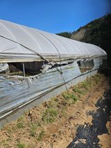 김해열님의 작성글 사진