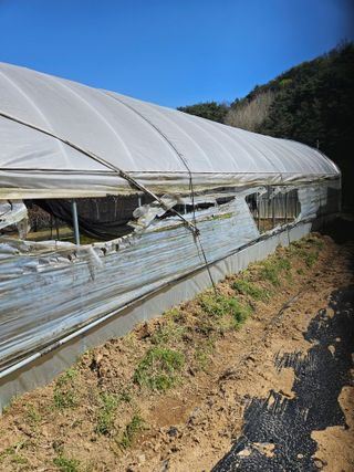 김해열님의 기타작물 · 영농일지 작성글 사진