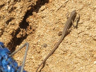 이용찬 열매마농원님의 기타작물 · 영농일지 작성글 사진