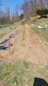 서초농원님의 작성글 사진