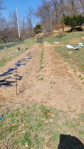 서초농원님의 기타작물 · 영농일지 작성글 사진