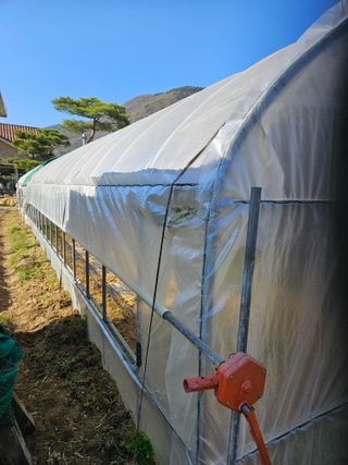 김해열님의 기타작물 · 영농일지 작성글 사진