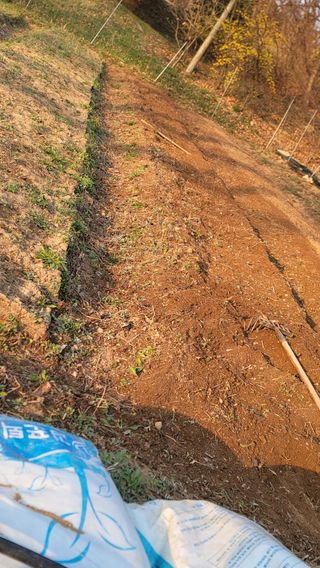 서초농원님의 작성글 사진