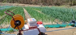 이형근님의 마늘 · 영농일지 작성글 사진