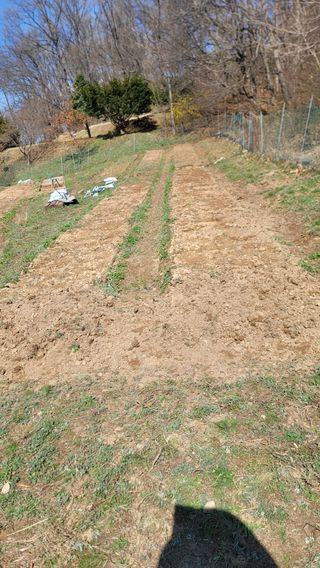 서초농원님의 기타작물 · 영농일지 작성글 사진