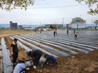 손정아님의 기타작물 · 영농일지 작성글 사진
