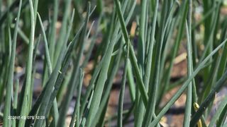 박용열조물주님 님의 기타작물 · 영농일지 작성글 사진